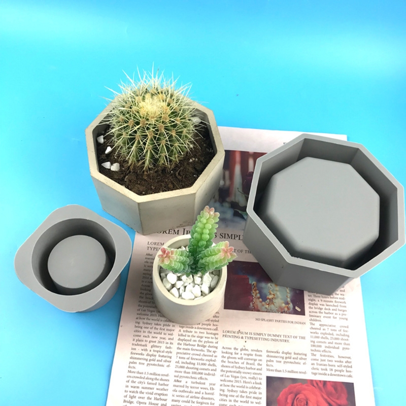 Handmade Succulent Planter Flo - Potsticker Mold ulasan dan harga